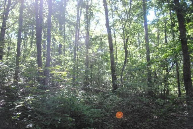 S Marble Top Road Chickamauga, GA 30707