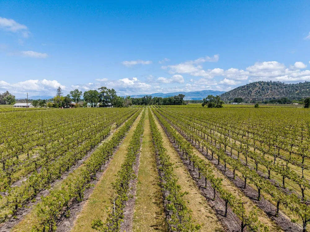 4500 Clark Drive Kelseyville, CA 95451