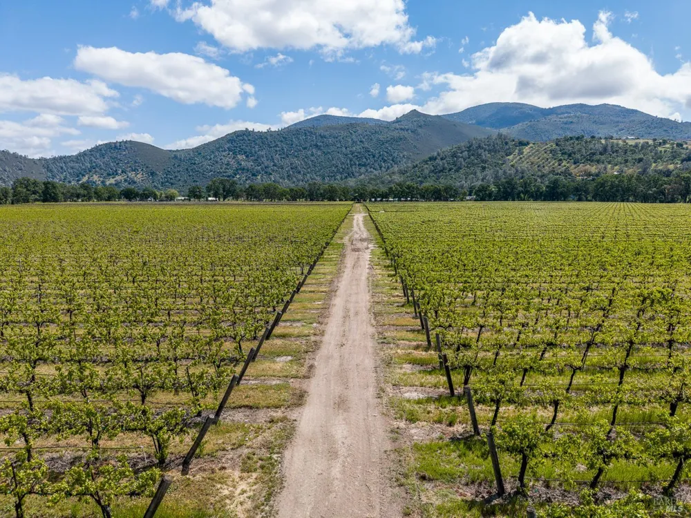 4500 Clark Drive Kelseyville, CA 95451