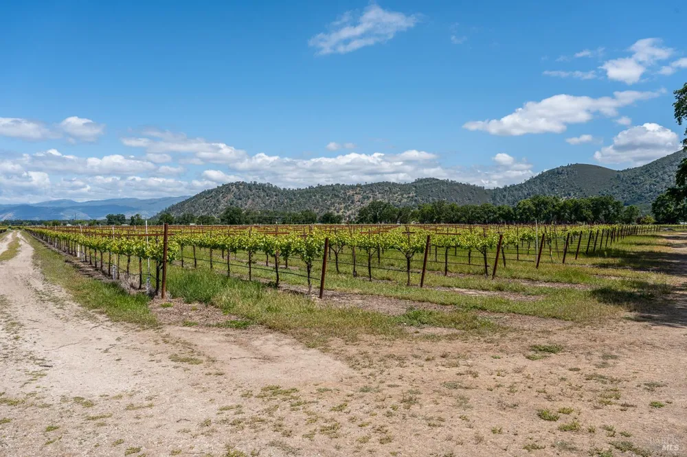 4500 Clark Drive Kelseyville, CA 95451