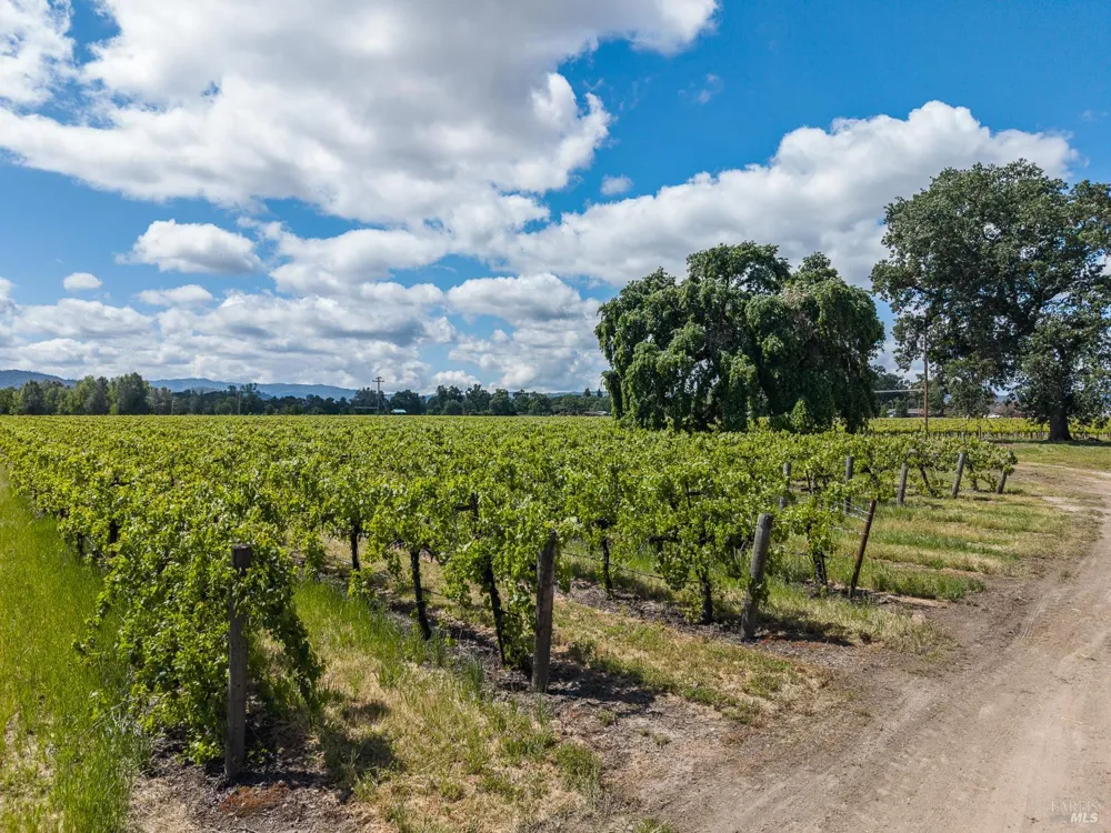 4500 Clark Drive Kelseyville, CA 95451
