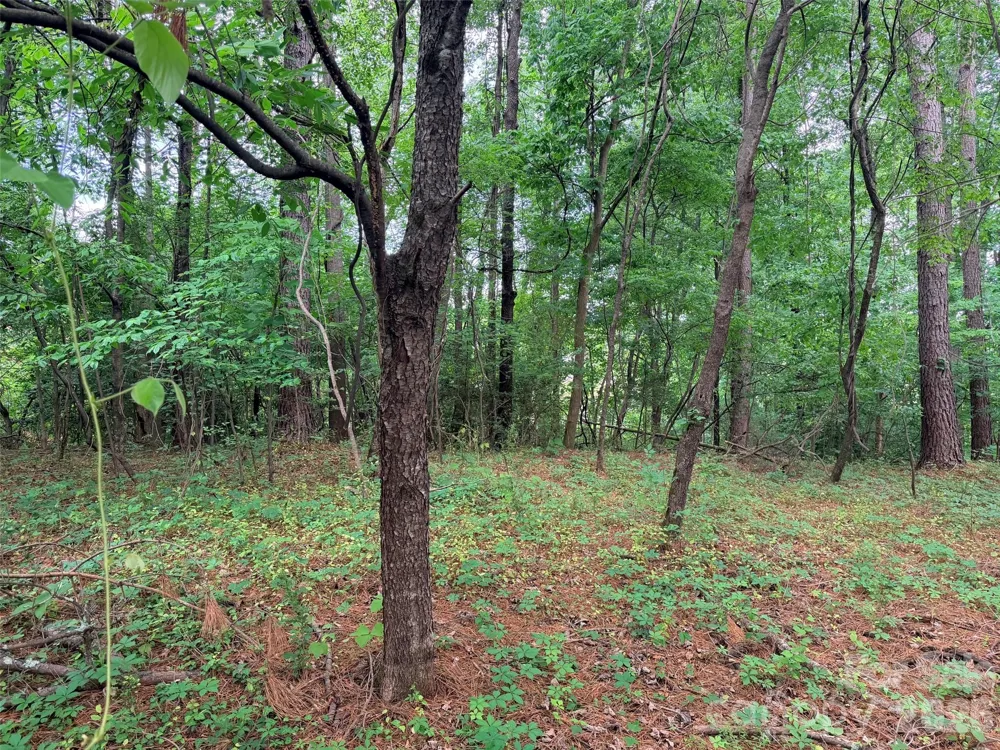 Lot 12 Sheepnose Drive Lake Lure, NC 28746