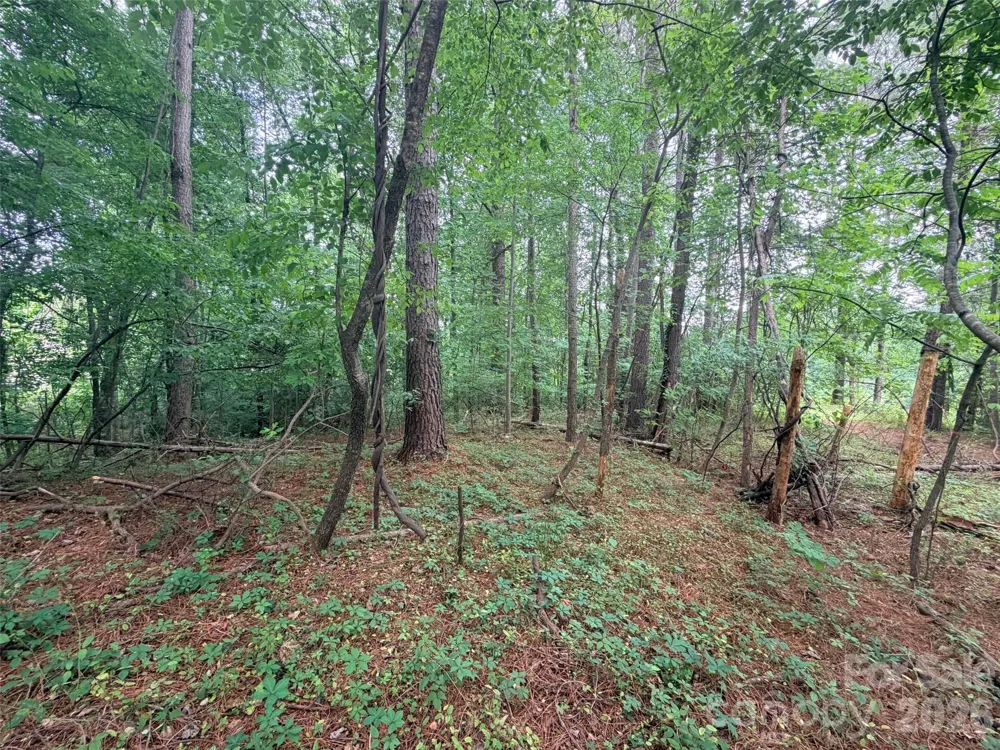 Lot 12 Sheepnose Drive Lake Lure, NC 28746