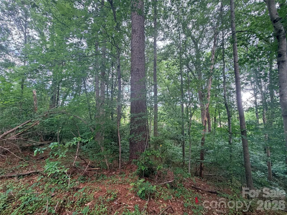 Lot 12 Sheepnose Drive Lake Lure, NC 28746