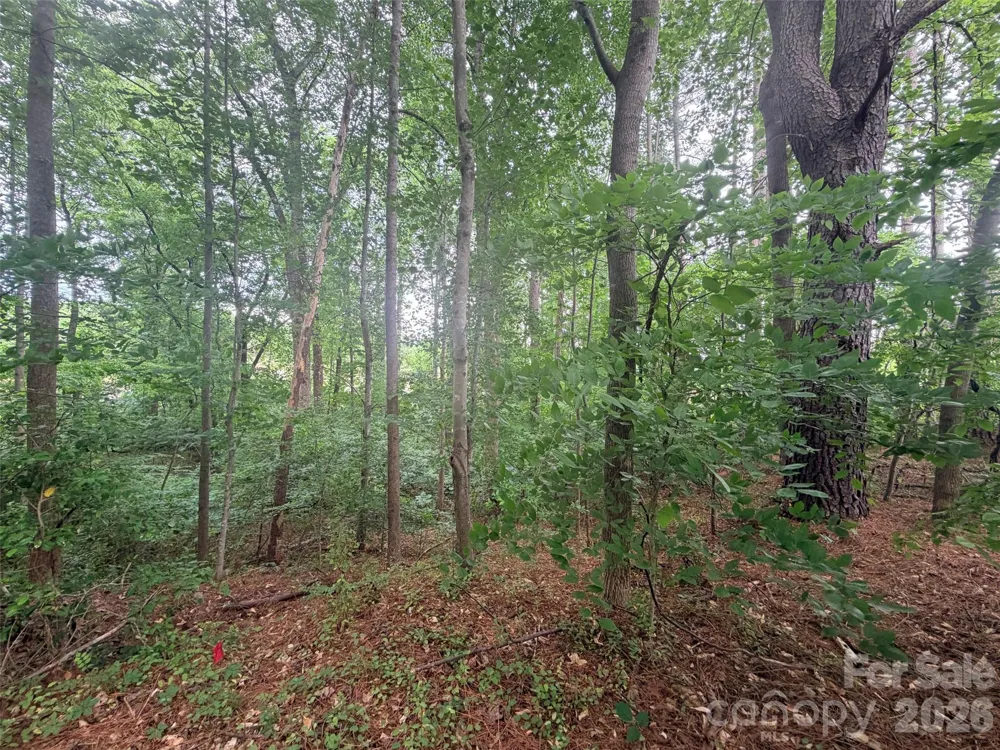 Lot 12 Sheepnose Drive Lake Lure, NC 28746