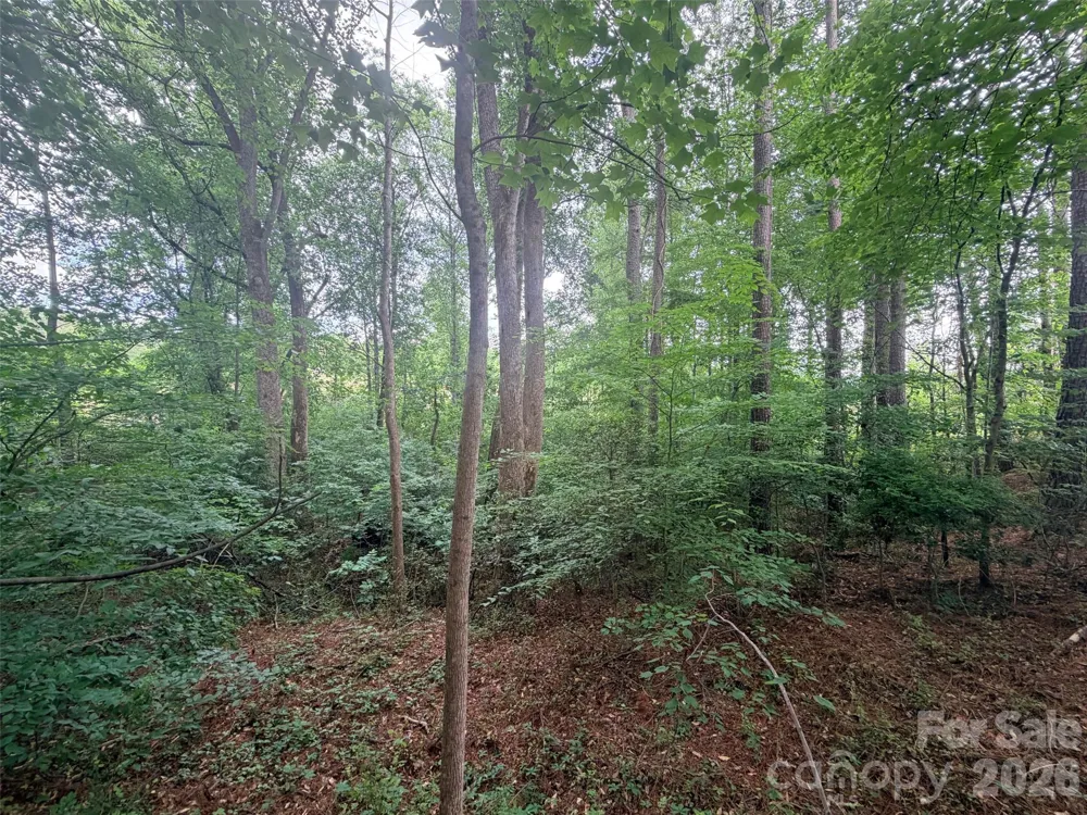 Lot 12 Sheepnose Drive Lake Lure, NC 28746