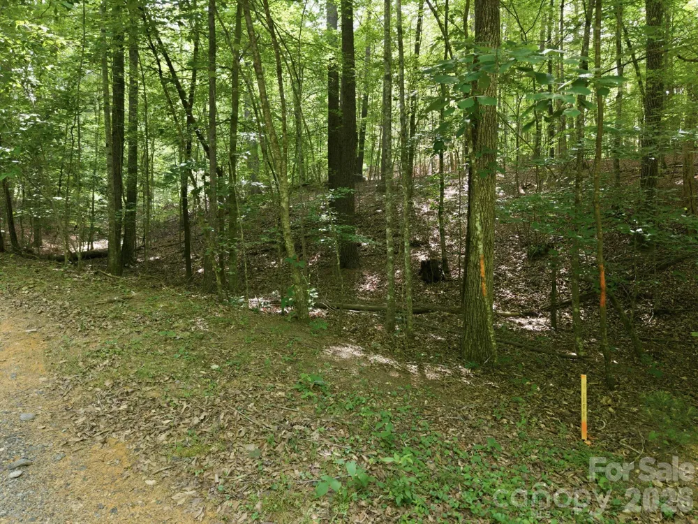 2411 Hundred Acres Lane Lenoir, NC 28645