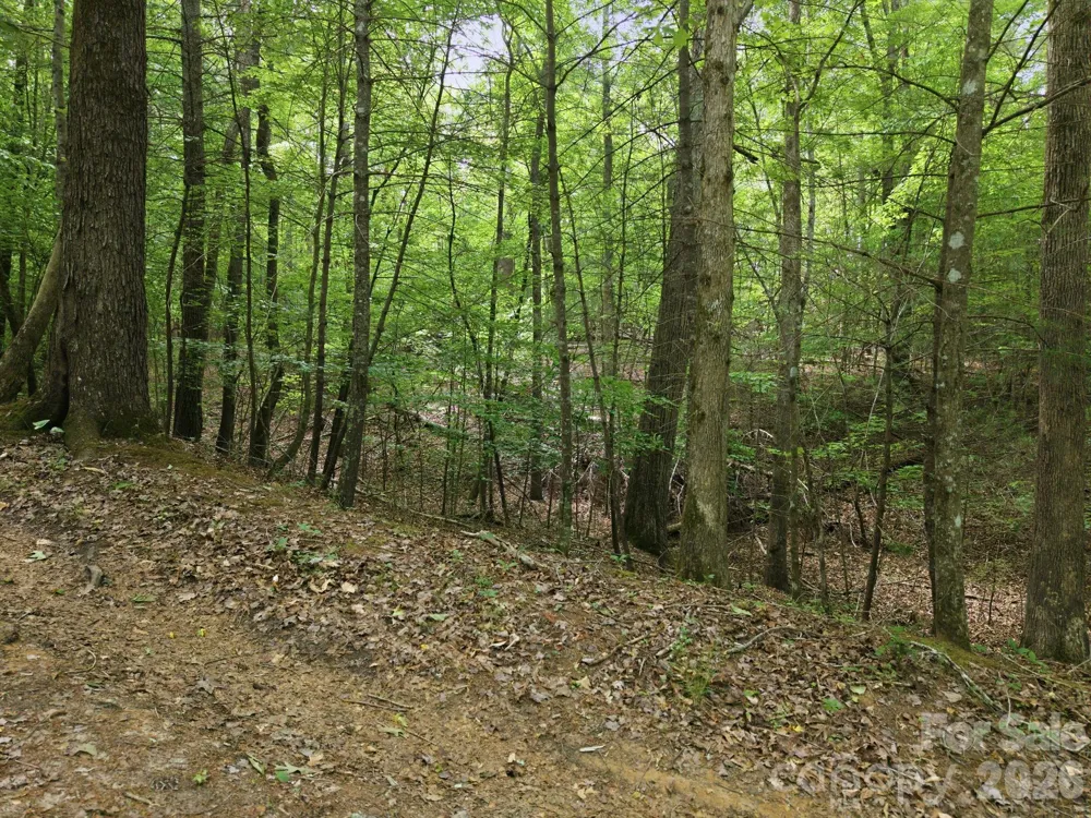 2411 Hundred Acres Lane Lenoir, NC 28645