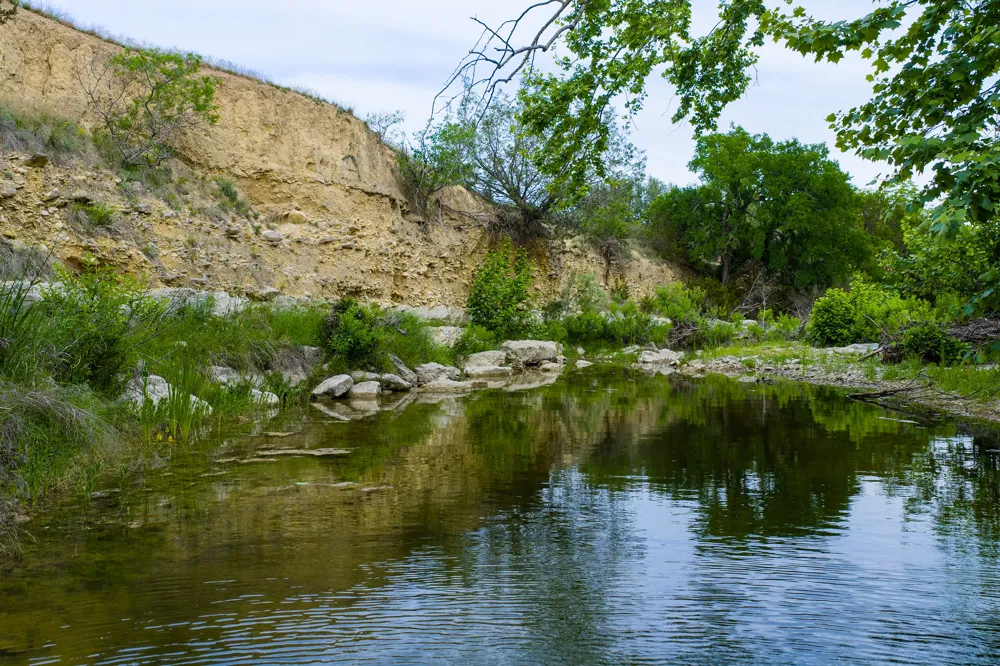 16833 County Road 2200 Lometa, TX 76853