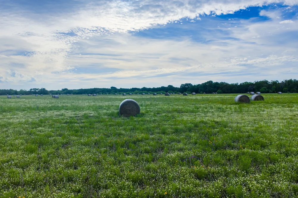 16833 County Road 2200 Lometa, TX 76853
