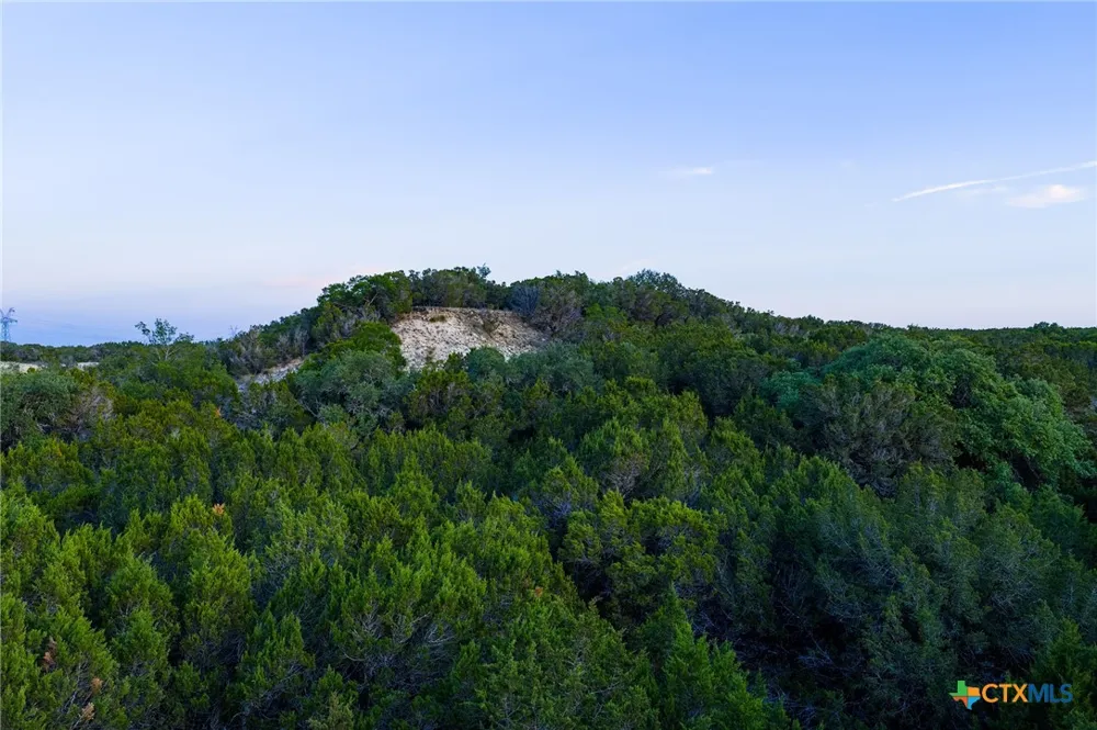 16833 County Road 2200 Lometa, TX 76853