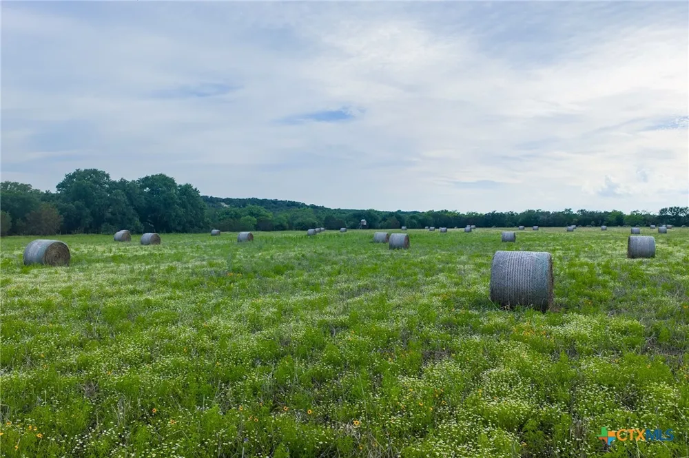 16833 County Road 2200 Lometa, TX 76853