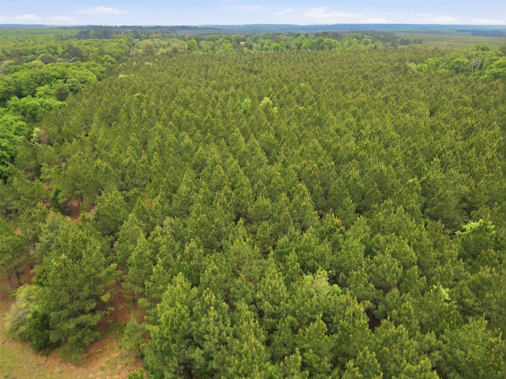 Private Rd 7832 Hawkins, TX 75765