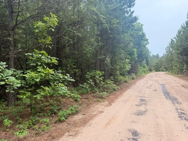 Private Rd 7832 Hawkins, TX 75765