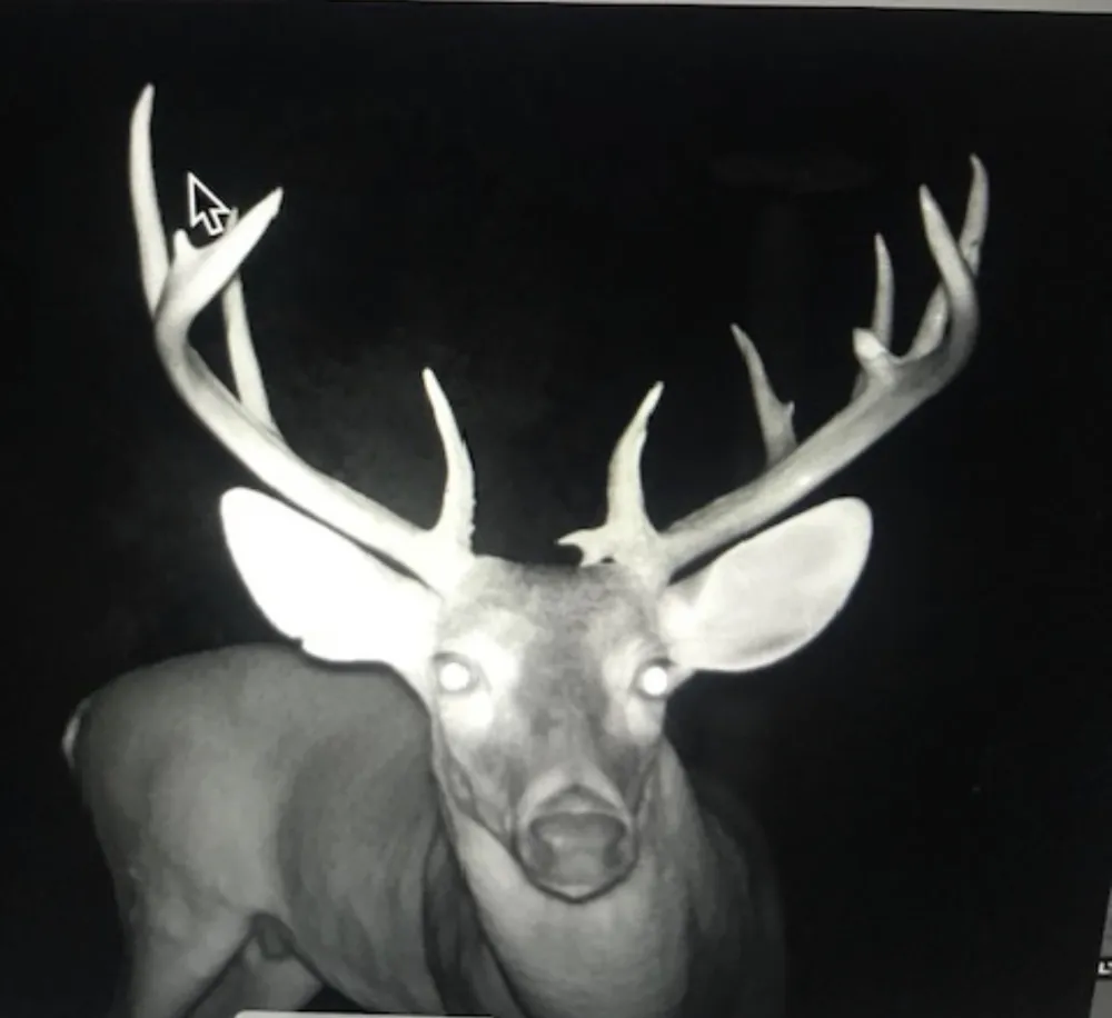 Private Rd 7832 Hawkins, TX 75765