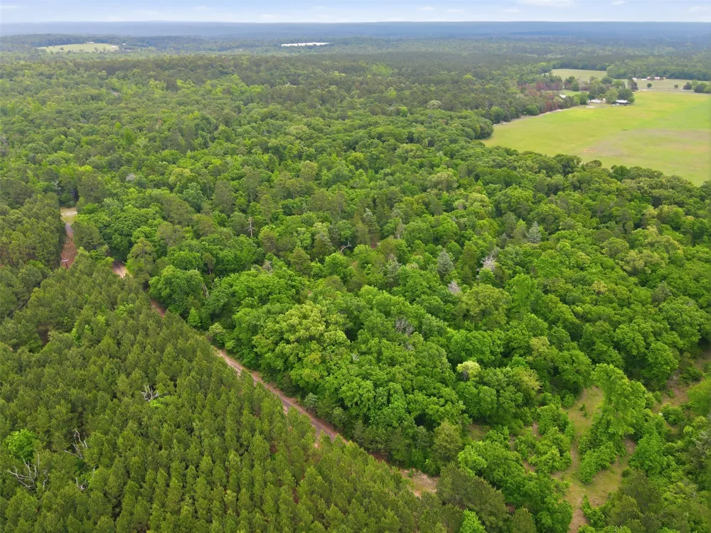 Private Rd 7832 Hawkins, TX 75765