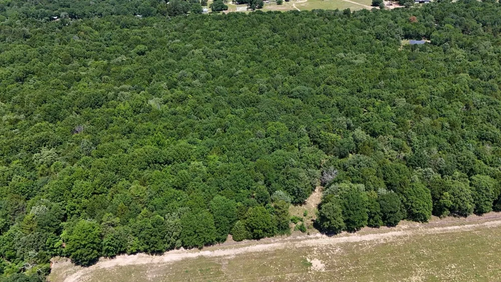 County Road #455 Mineola, TX 75773
