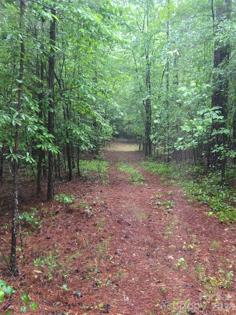 0 Mooresboro Road Mooresboro, NC 28114