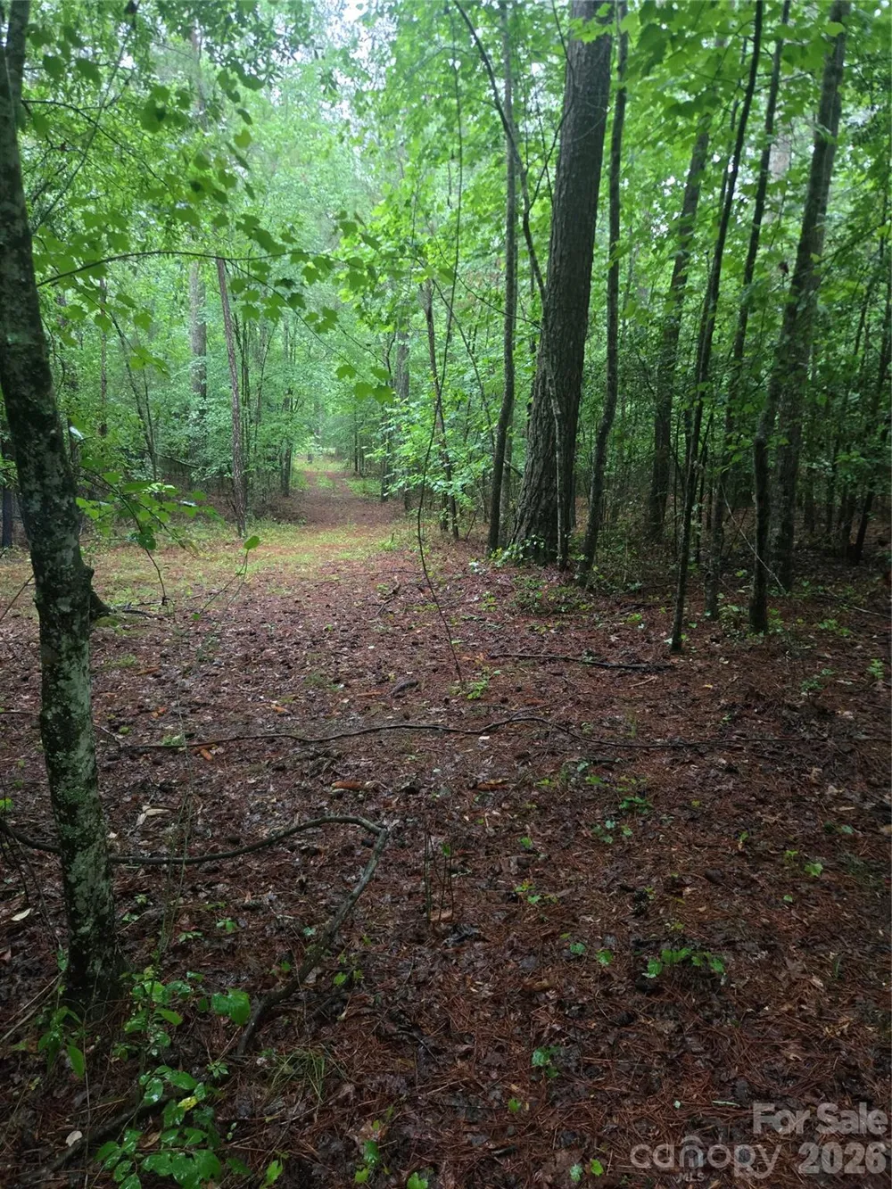 0 Mooresboro Road Mooresboro, NC 28114