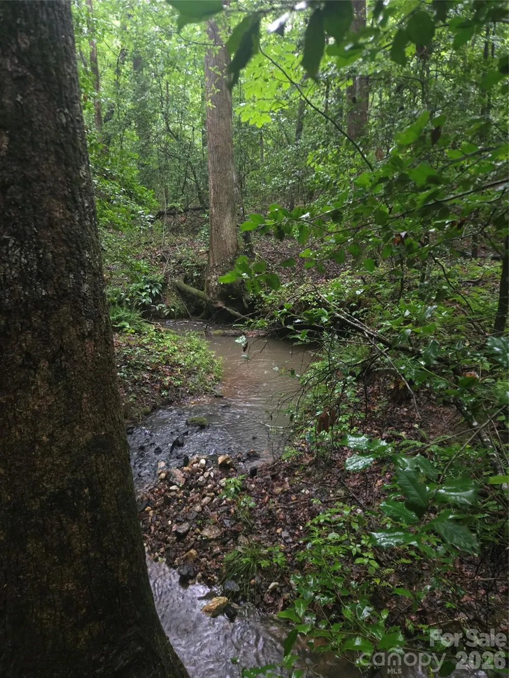 0 Mooresboro Road Mooresboro, NC 28114