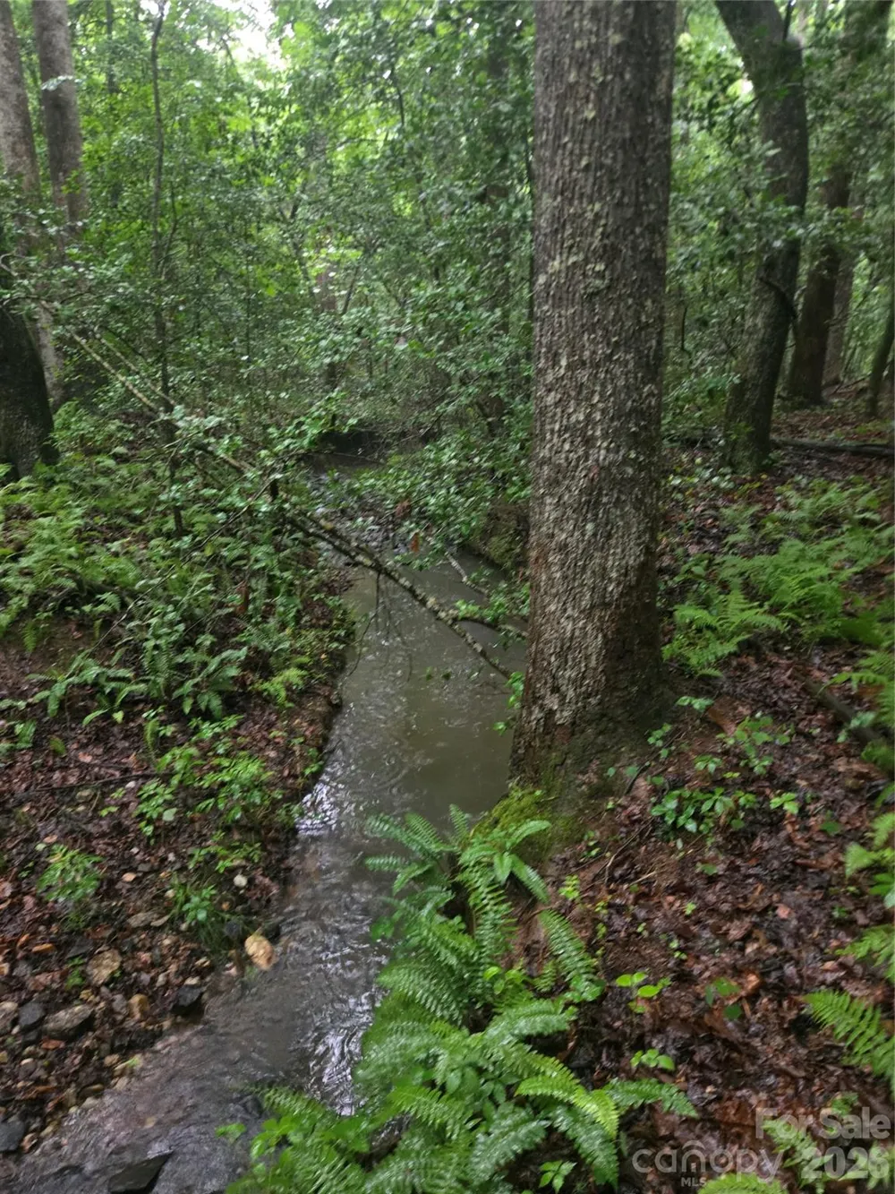 0 Mooresboro Road Mooresboro, NC 28114