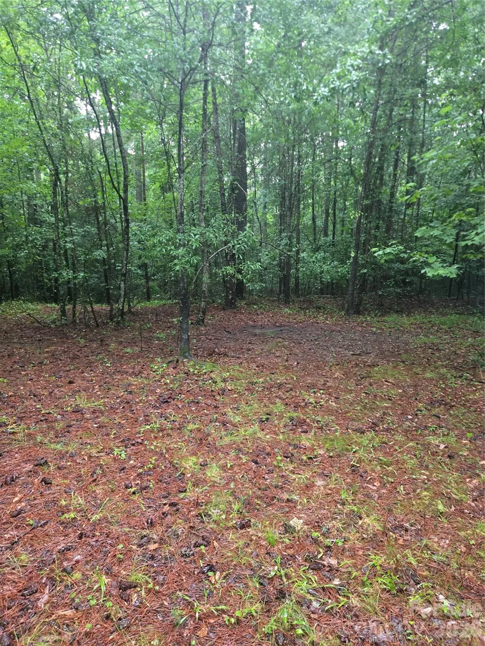 0 Mooresboro Road Mooresboro, NC 28114