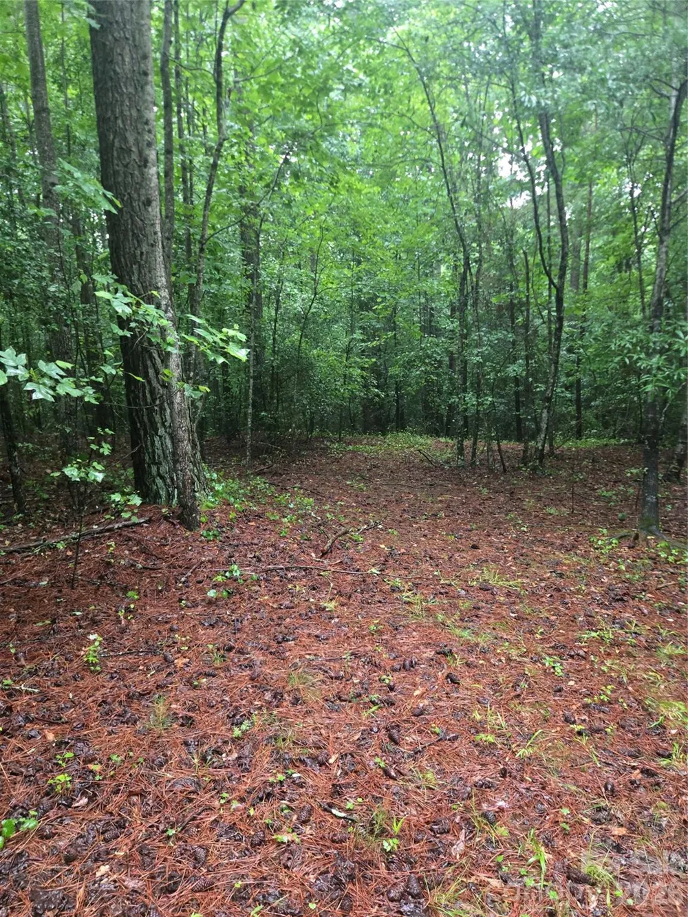 0 Mooresboro Road Mooresboro, NC 28114