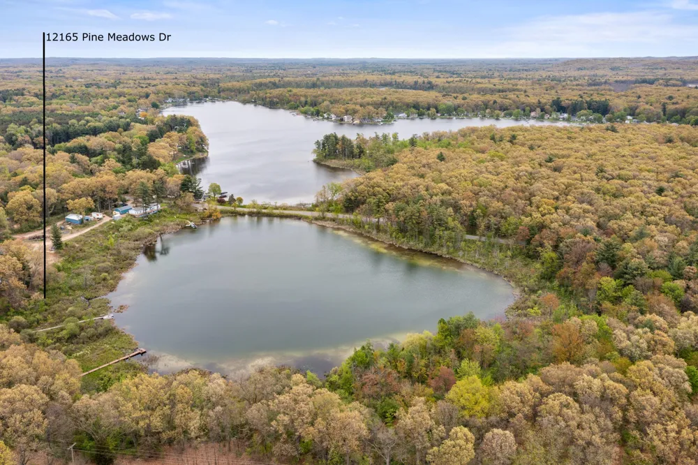 12165 Pine Meadows Drive Wayland, MI 49348