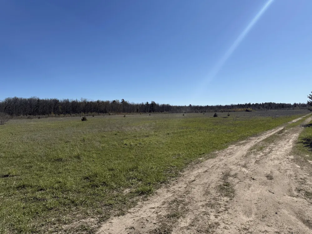 V/L N Dagget Road Howard City, MI 49329