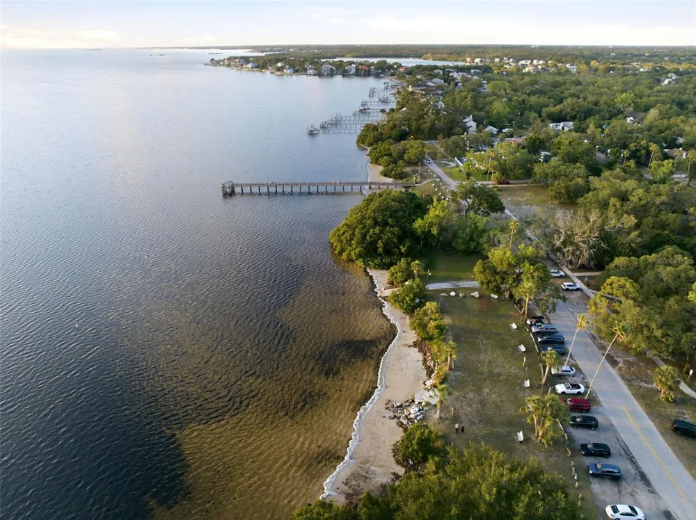 110 GEORGIA AVE. AVENUE Crystal Beach, FL 34681