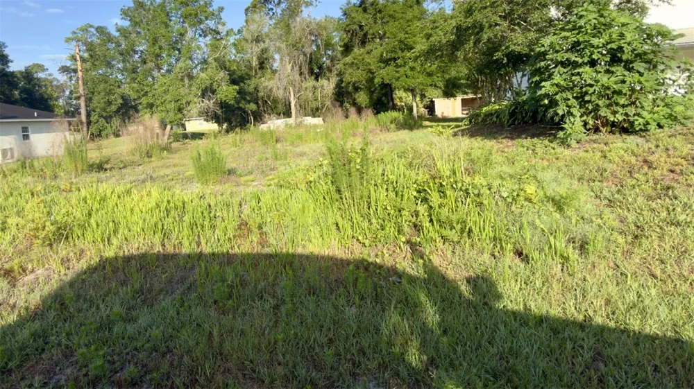 7TH AVENUE Deland, FL 32724