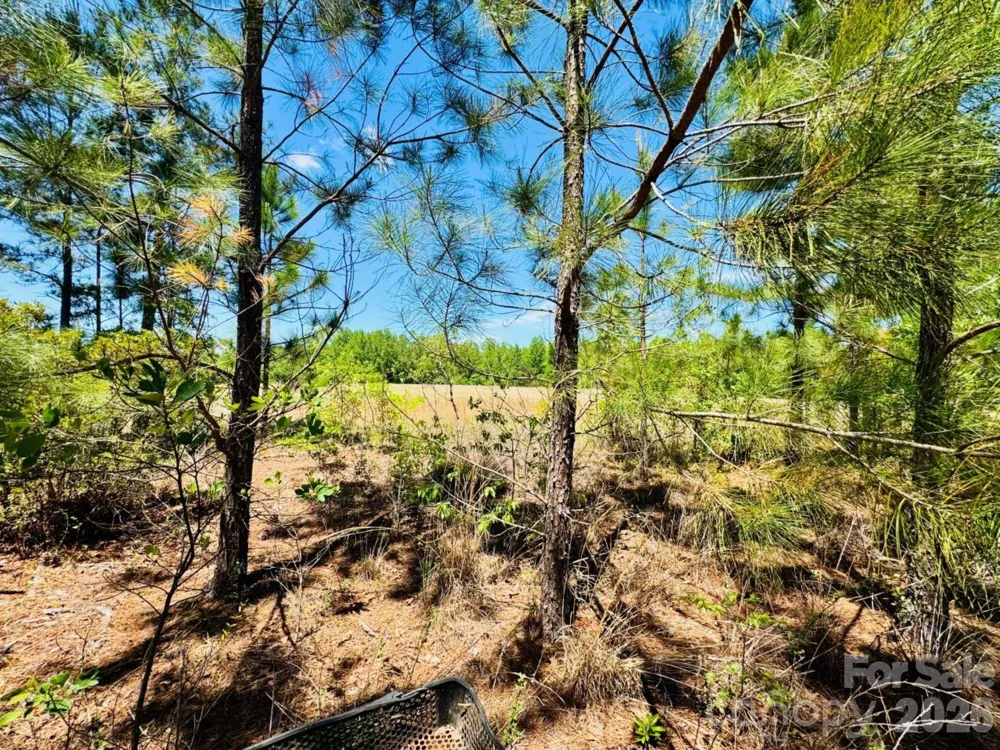 17ac JC Barefoot Road Patrick, SC 29584