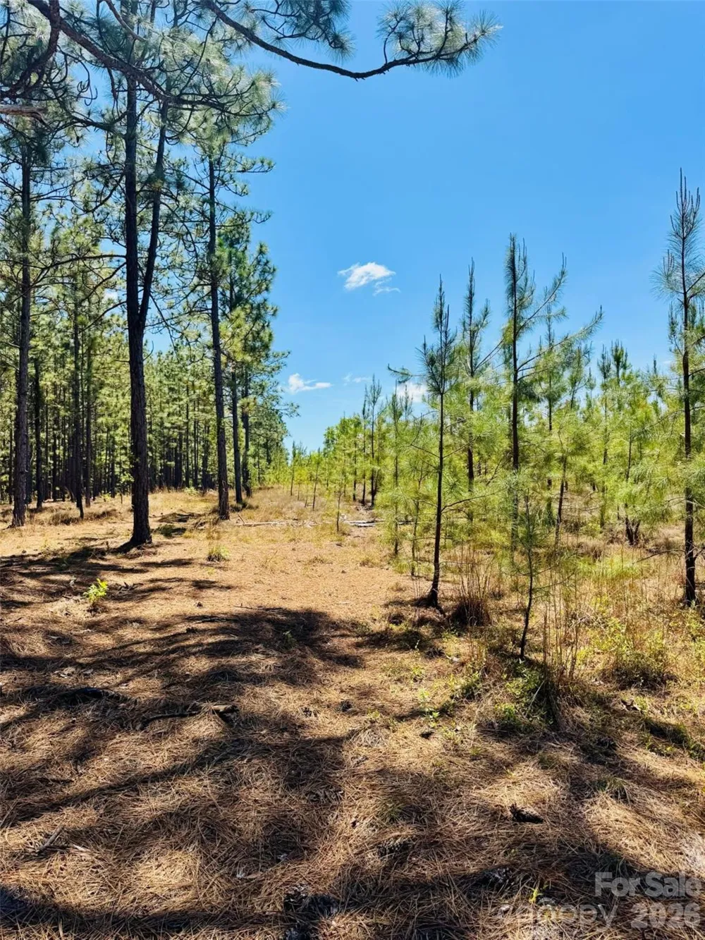17ac JC Barefoot Road Patrick, SC 29584