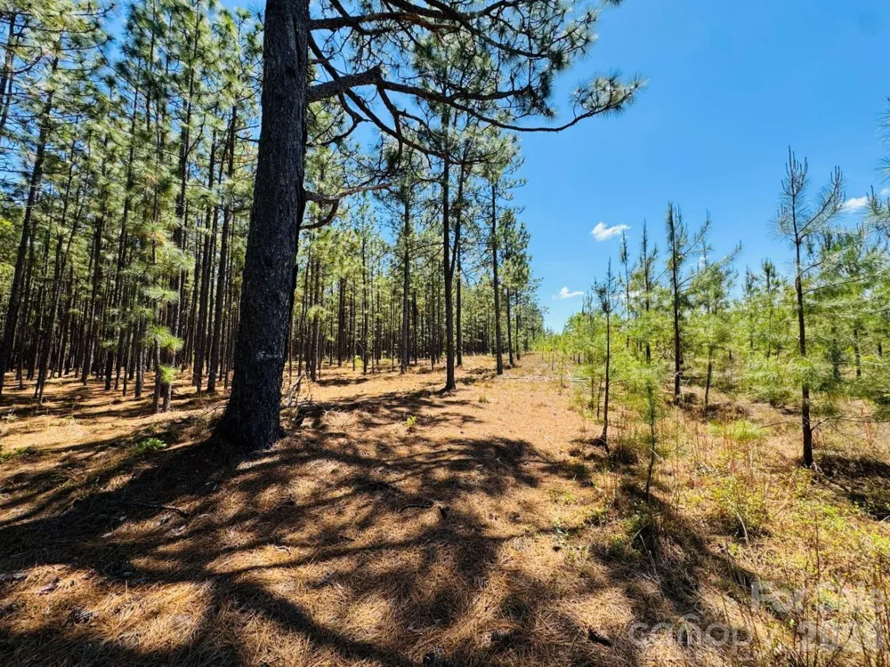 17ac JC Barefoot Road Patrick, SC 29584