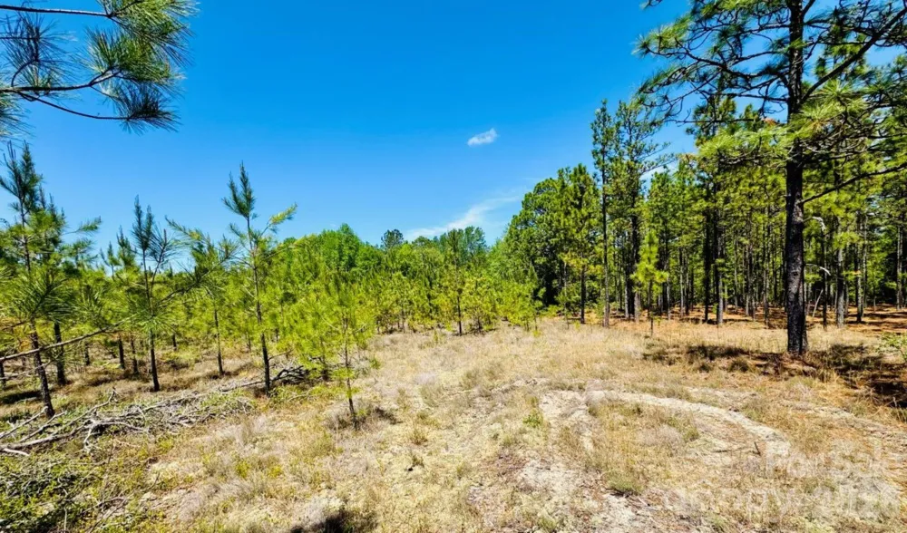 17ac JC Barefoot Road Patrick, SC 29584