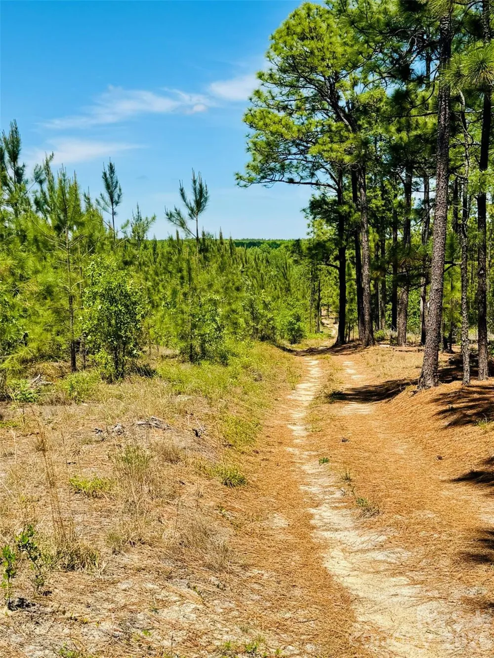 17ac JC Barefoot Road Patrick, SC 29584
