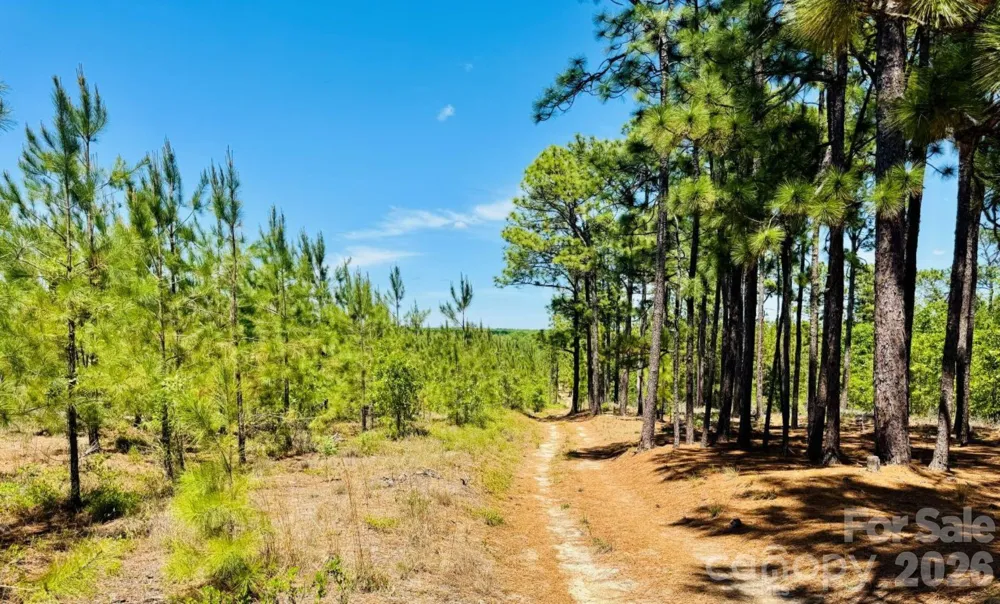 17ac JC Barefoot Road Patrick, SC 29584