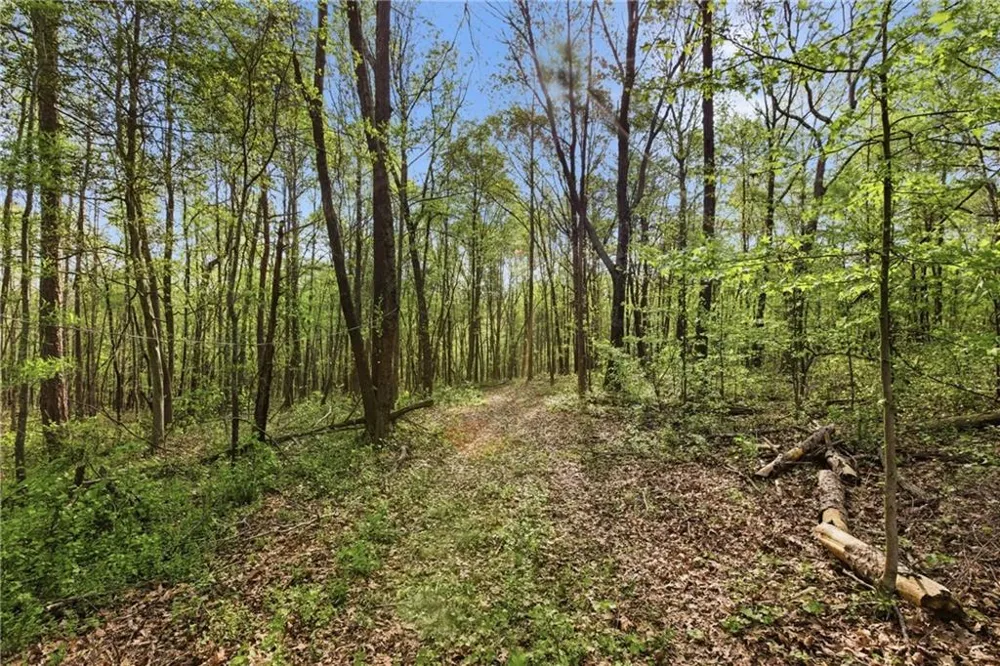 6668 Belton Bridge Road Lula, GA 30554