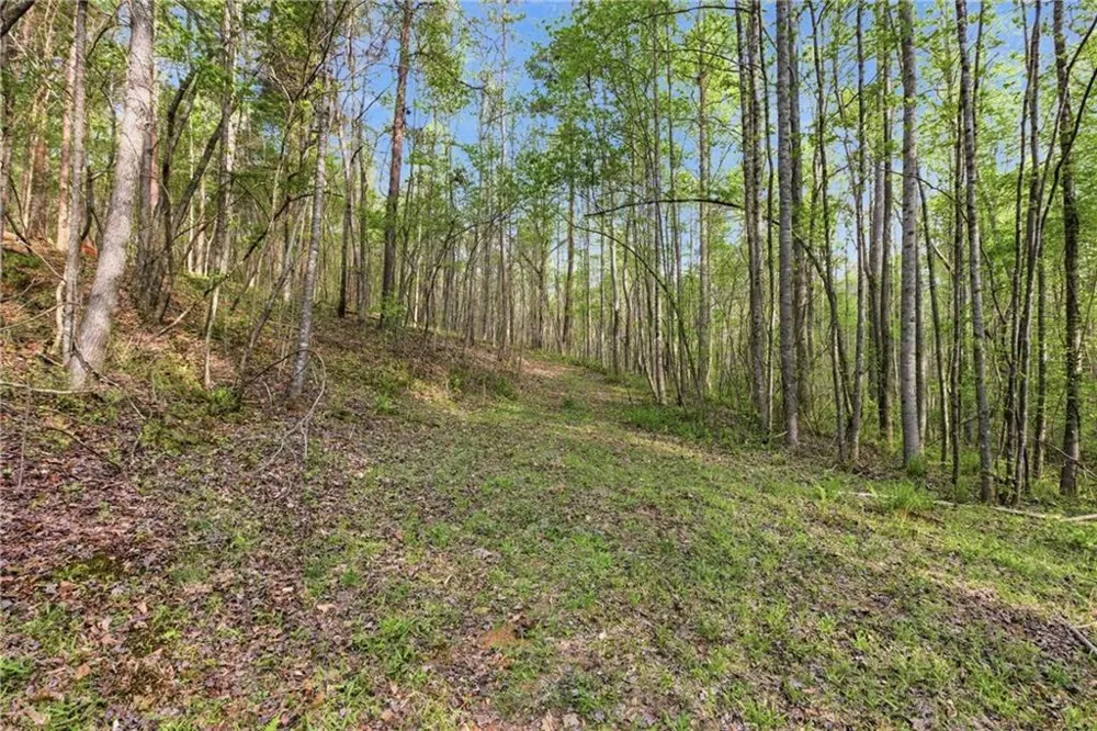 6668 Belton Bridge Road Lula, GA 30554