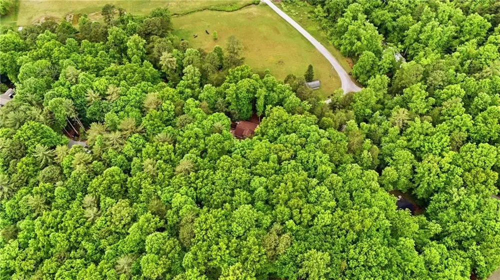 15 Mississippi Lane Tiger, GA 30576