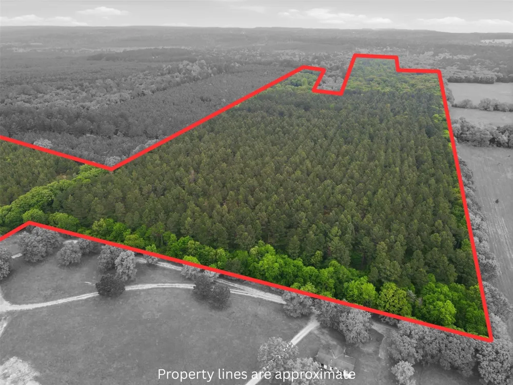 County road 3824 Hawkins, TX 75765