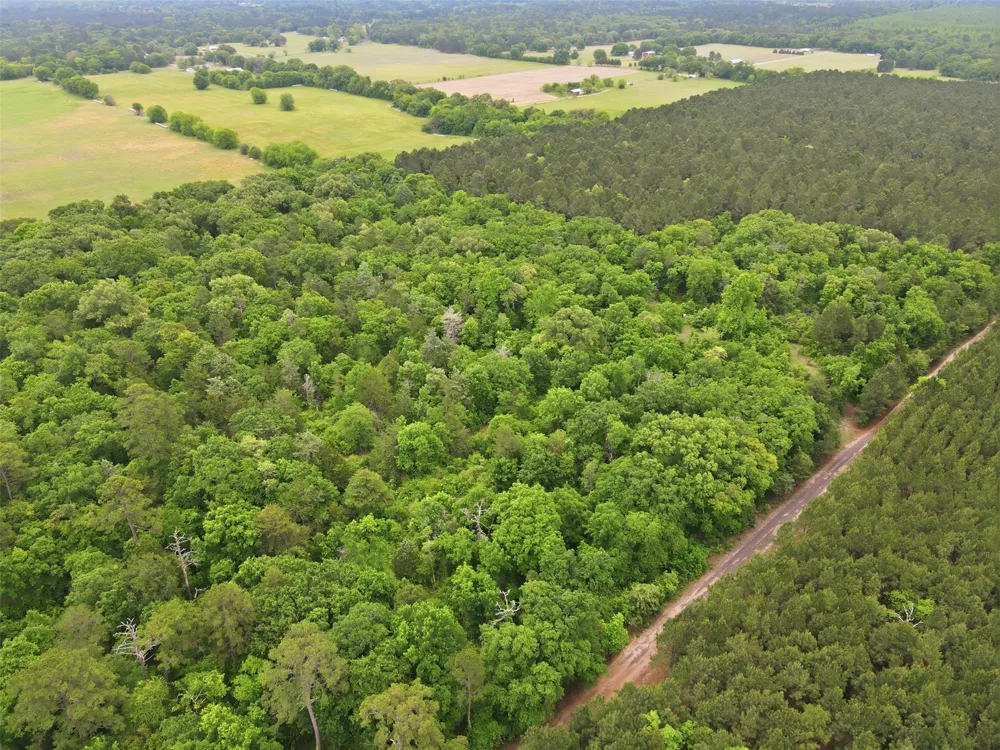 County road 3824 Hawkins, TX 75765