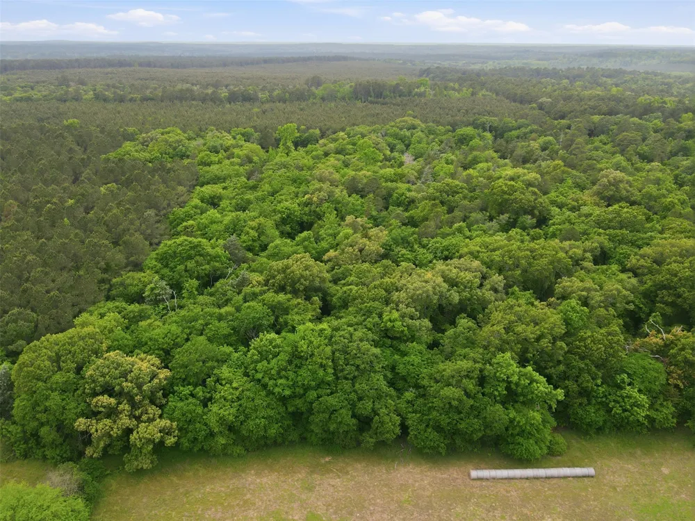 County road 3824 Hawkins, TX 75765