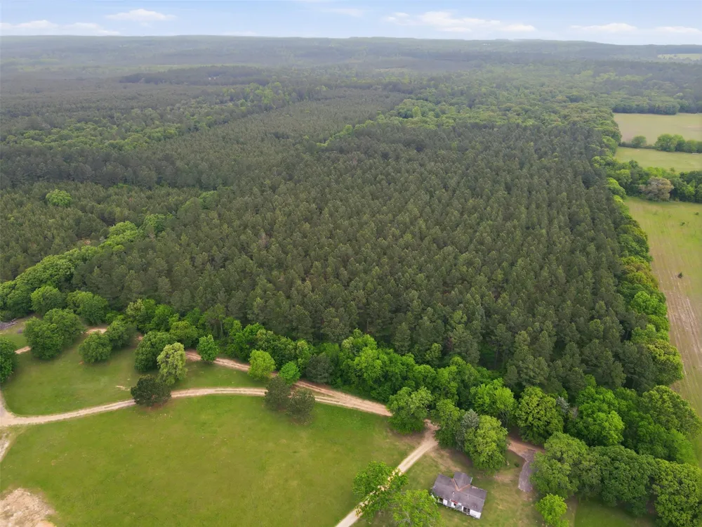 County road 3824 Hawkins, TX 75765