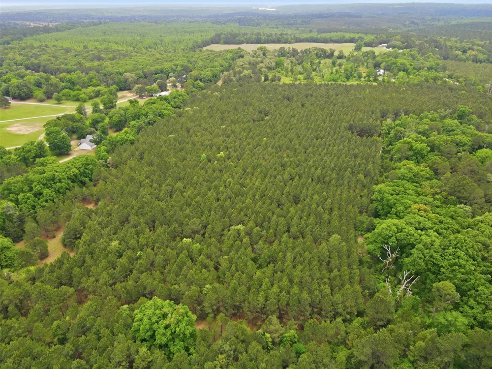 County road 3824 Hawkins, TX 75765