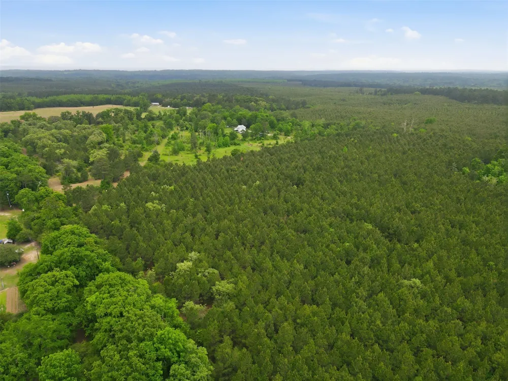 County road 3824 Hawkins, TX 75765