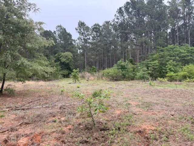 County road 3824 Hawkins, TX 75765