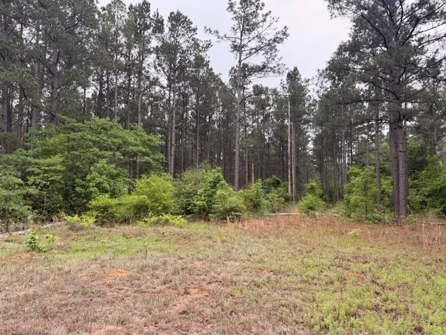 County road 3824 Hawkins, TX 75765