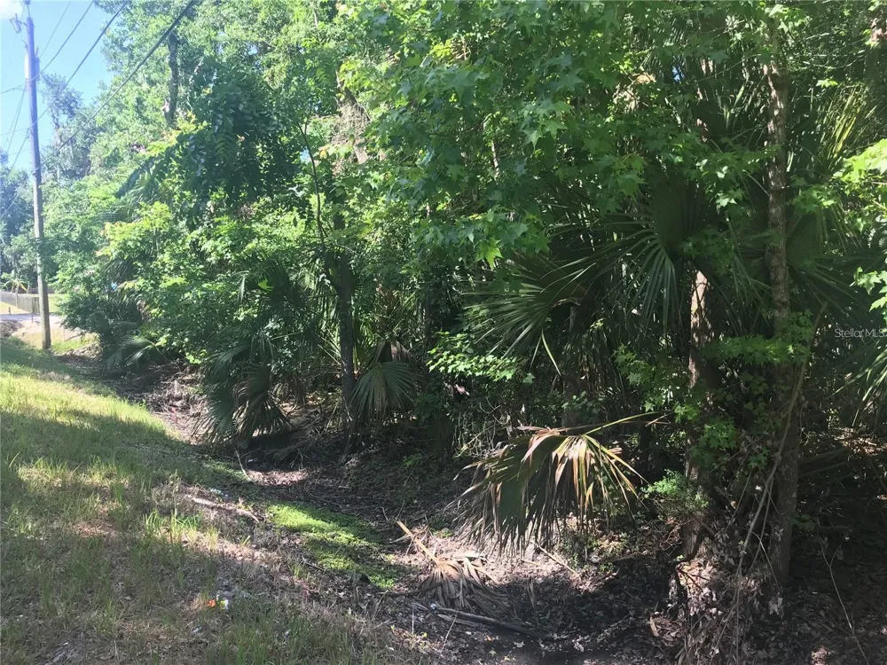 ELIZABETH STREET New Smyrna Beach, FL 32168