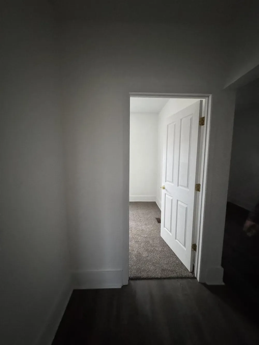 103 E Savidge Street Spring Lake Village, MI 49456